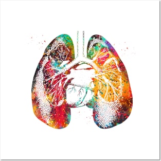 Lungs and Heart Posters and Art